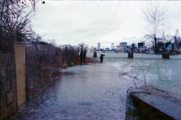 Jessie Yingying Gong