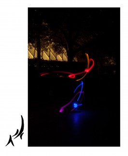 Jessie Yingying Gong