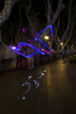 Jessie Yingying Gong