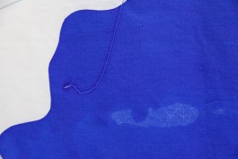 Jessie Yingying Gong