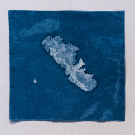 Jessie Yingying Gong